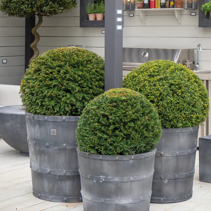 Porto Pot