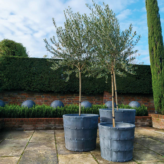 Porto Pot