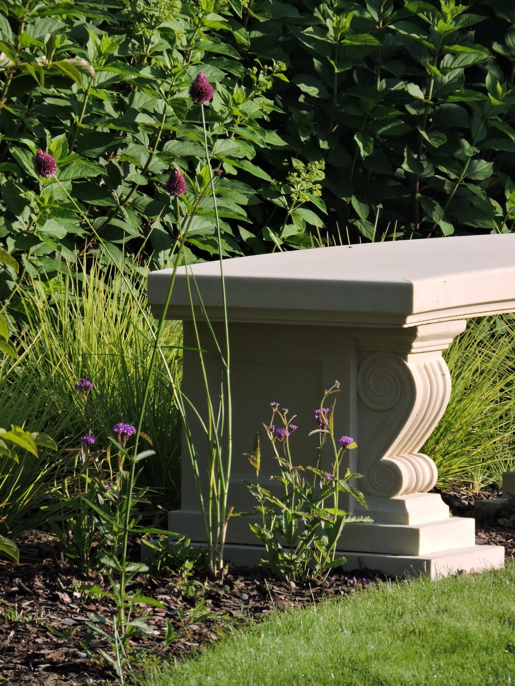 Arched Senator's Bench