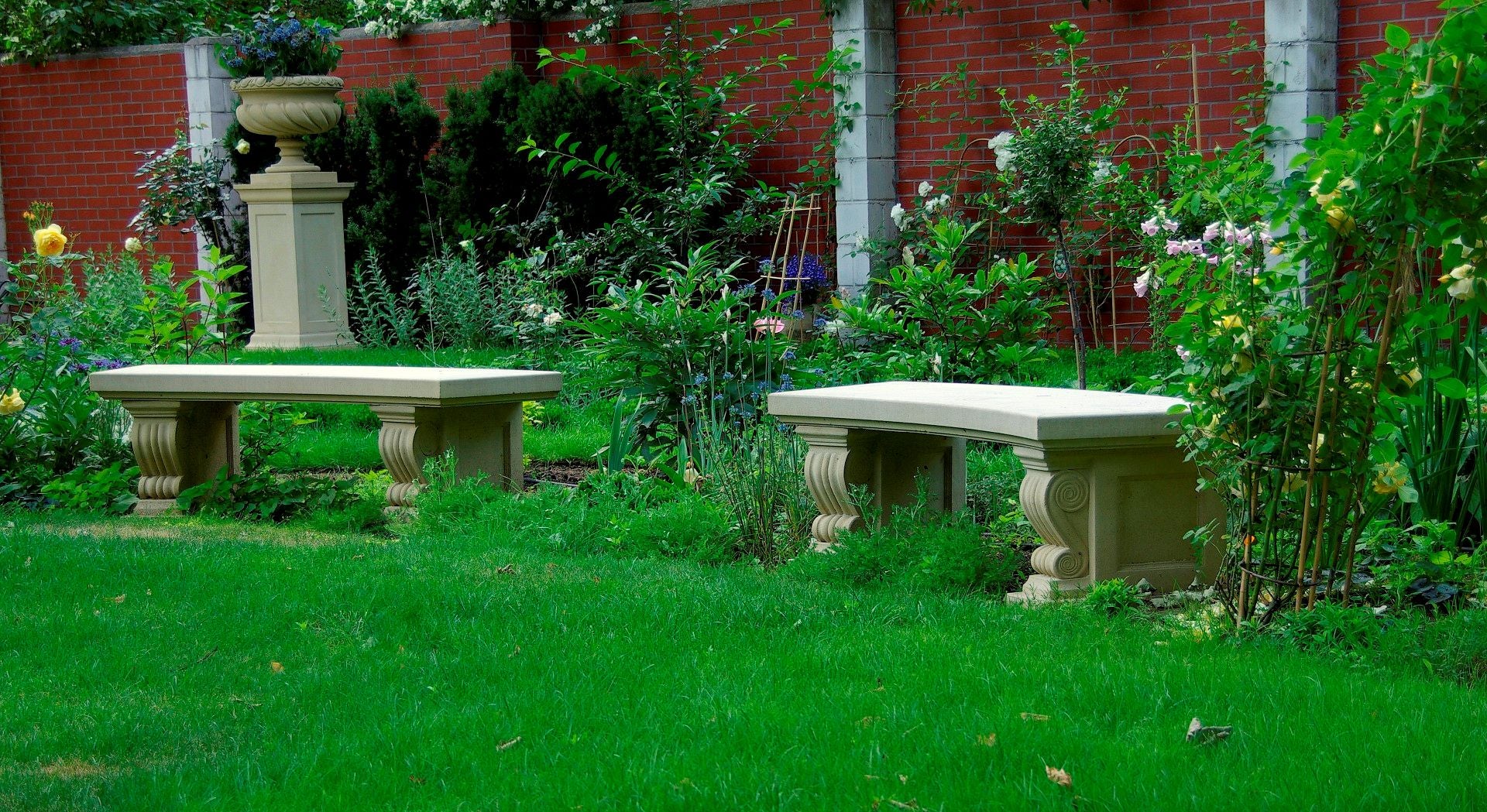 Arched Senator's Bench