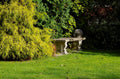 Arched Senator's Bench