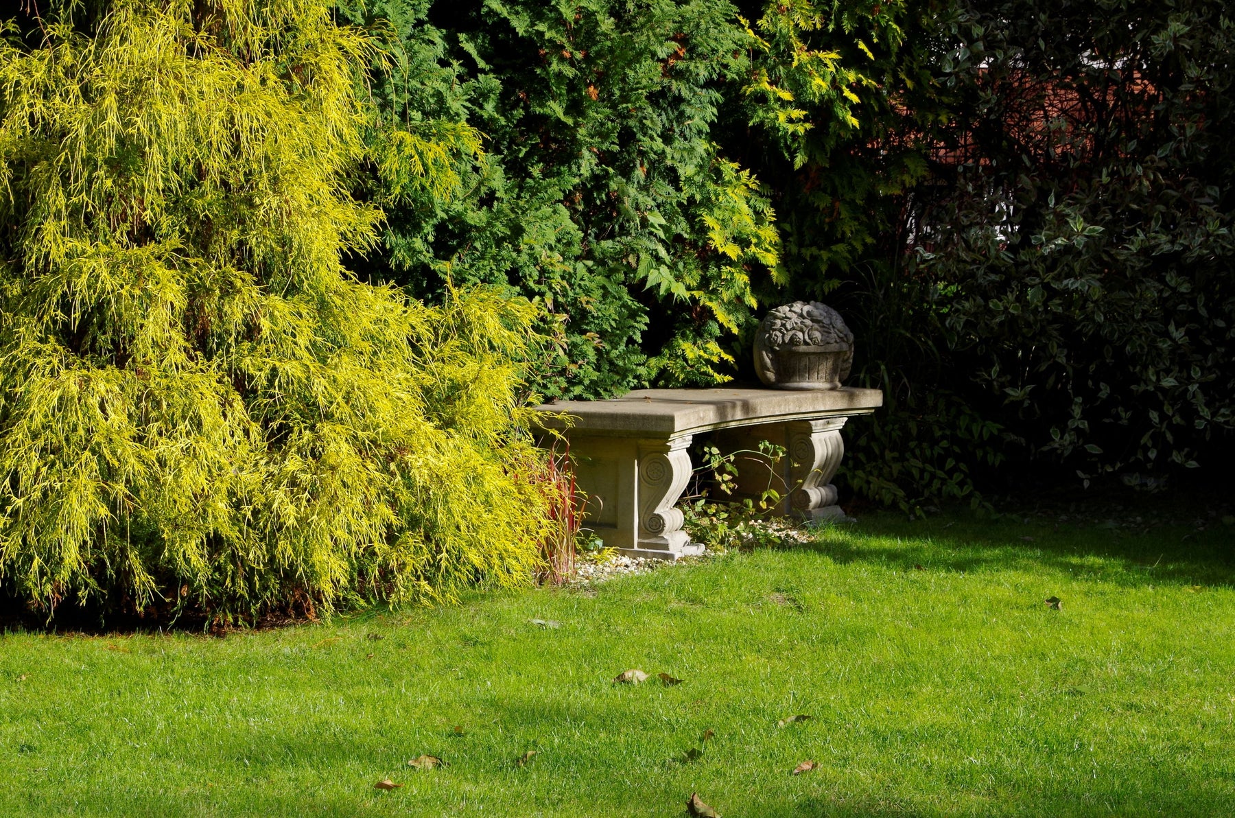 Arched Senator's Bench