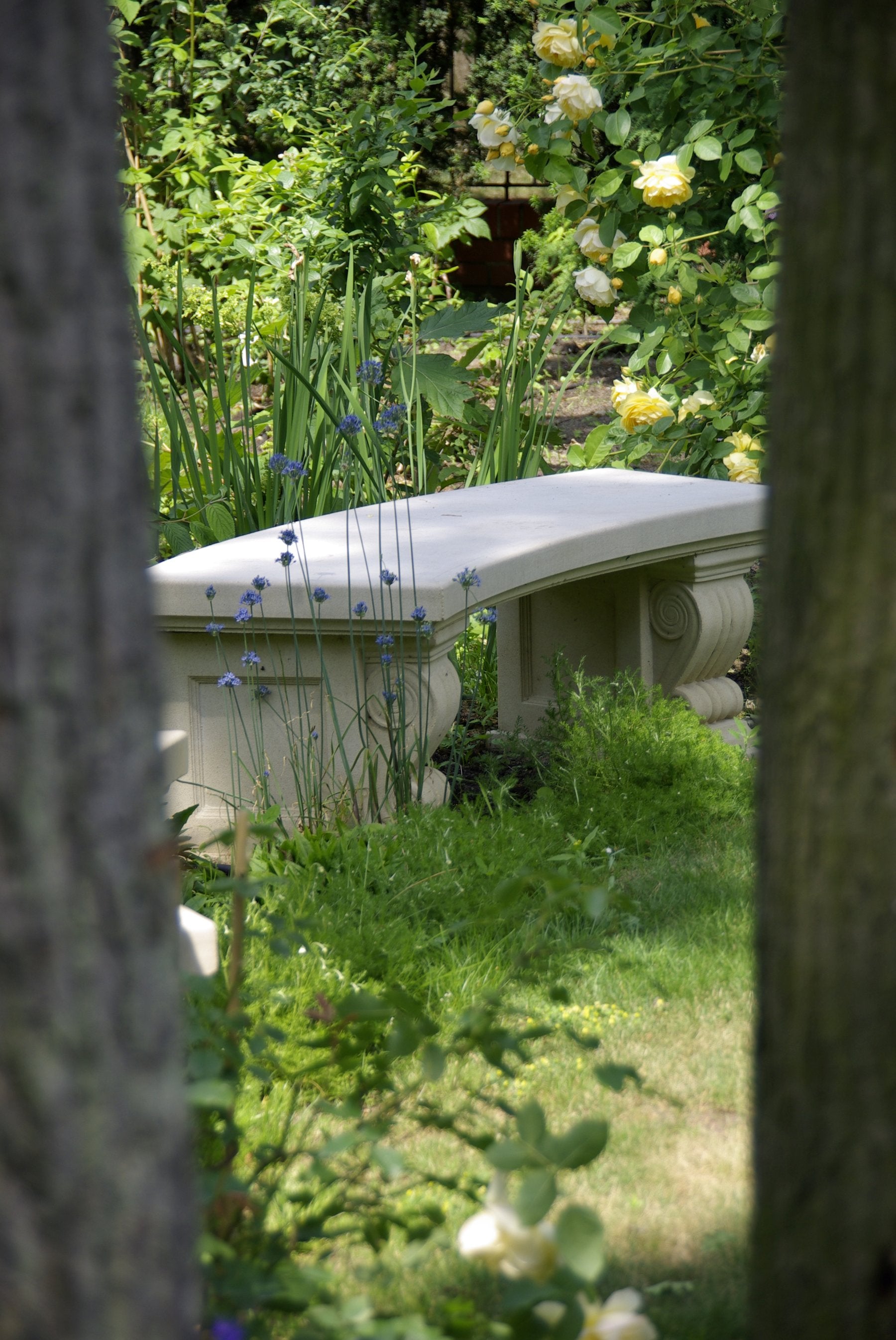 Arched Senator's Bench