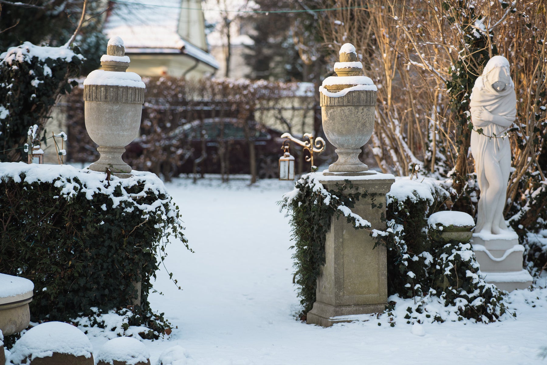 Garden Urn - Potentate