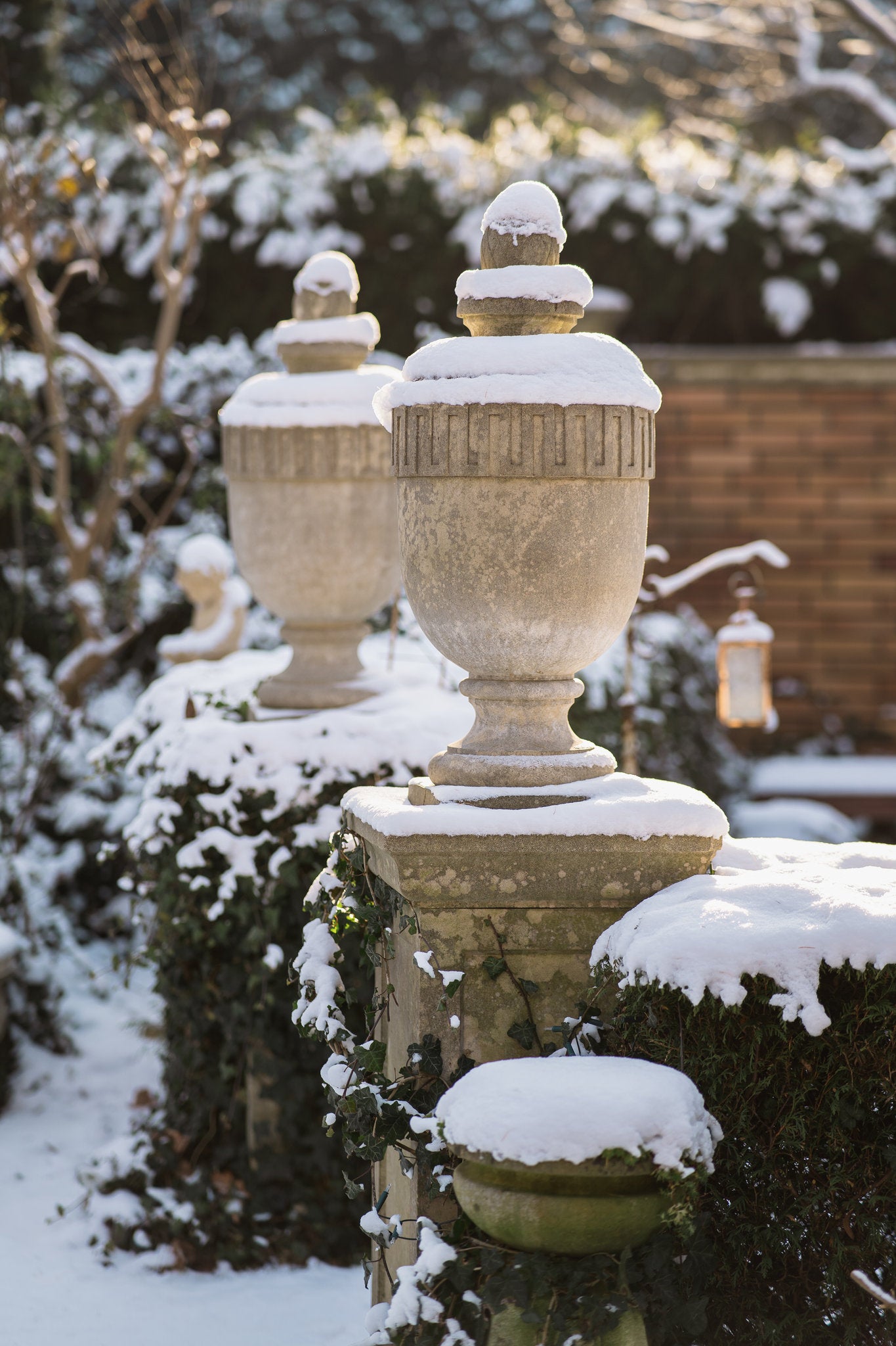 Garden Urn - Potentate