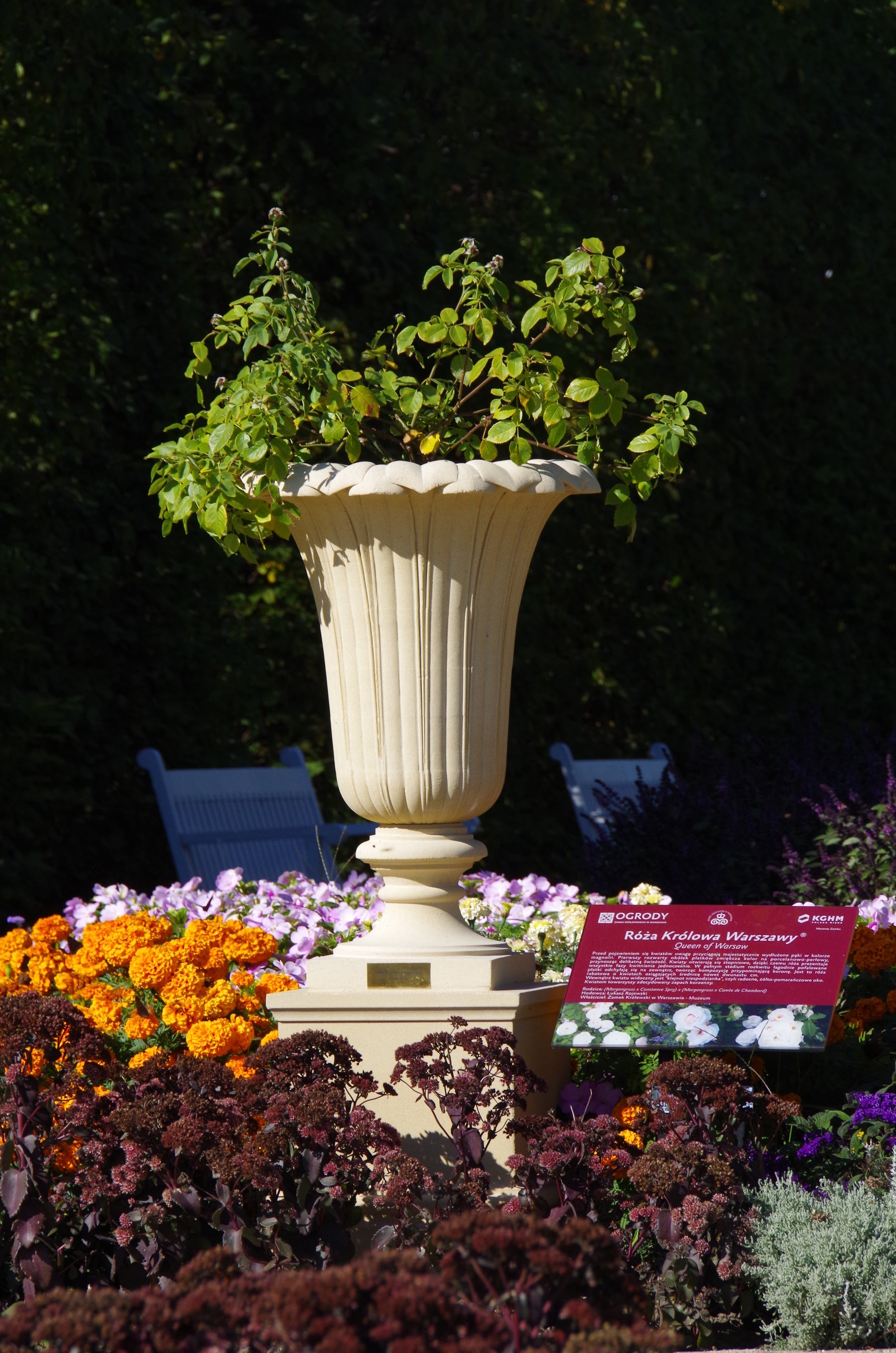 Vase of the Queen of Warsaw