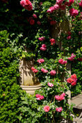 Victorian Wall Cistern