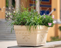 Wrocław Planter