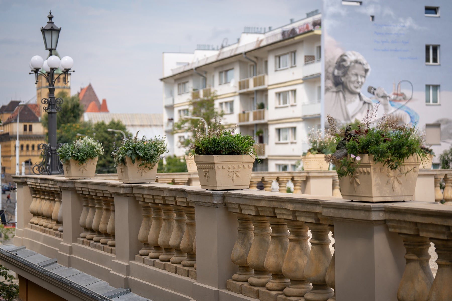 Wrocław Planter