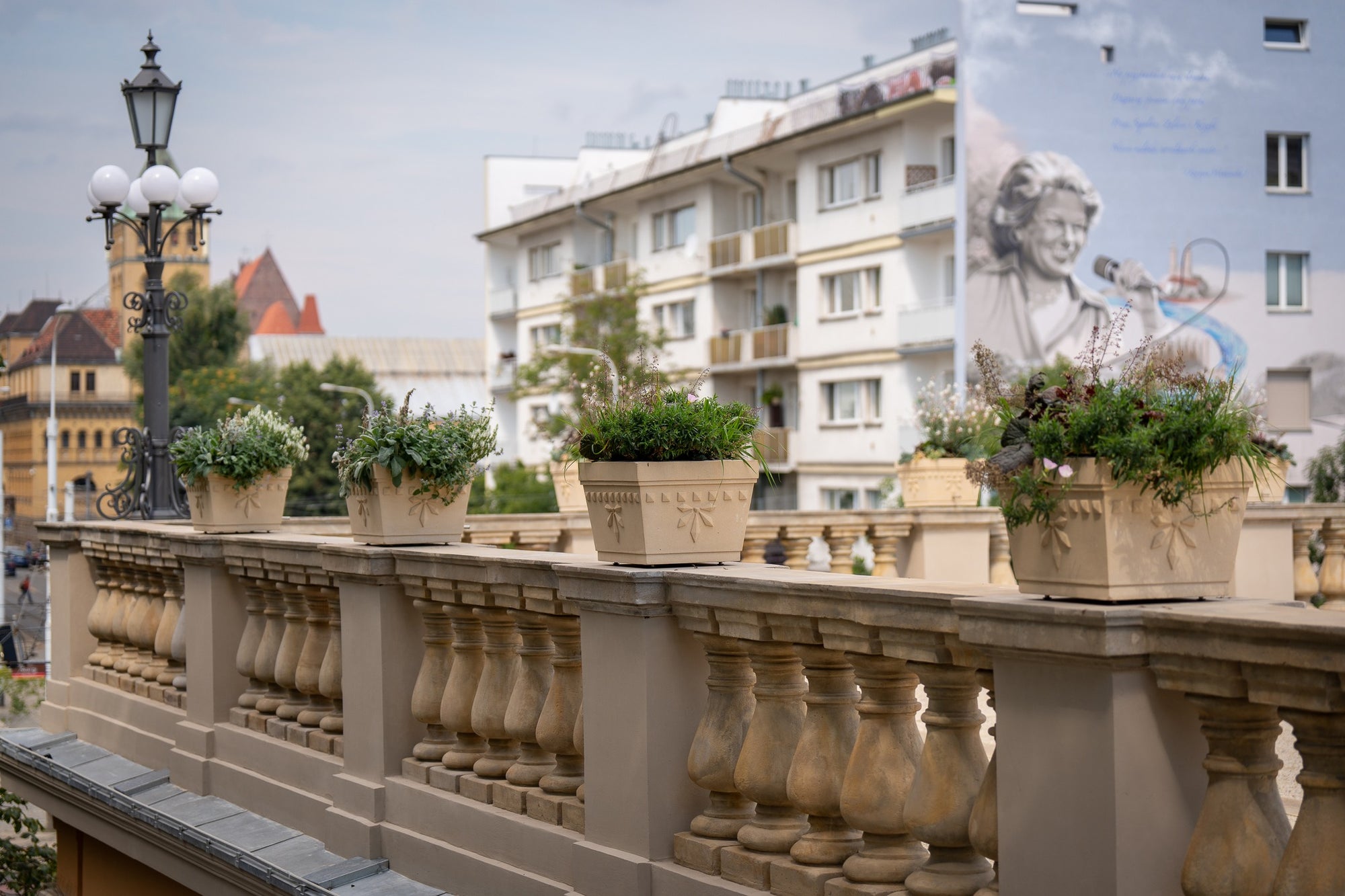 Wrocław Planter