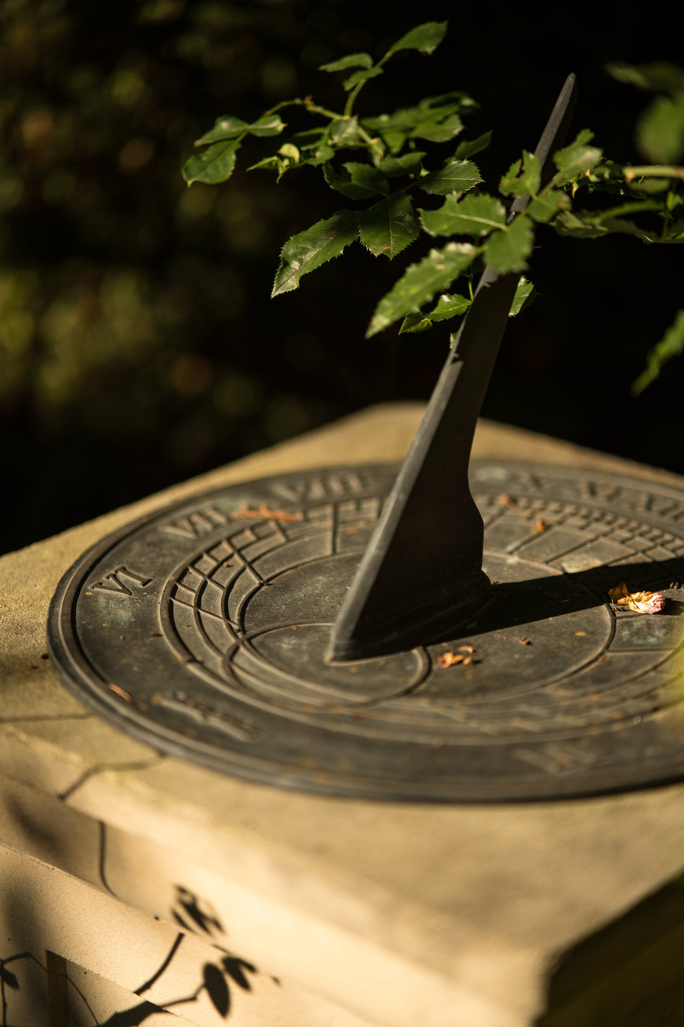 Rota Solis Sundial