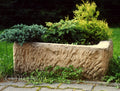 Trough Planter