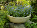 Planta Flower Bowl