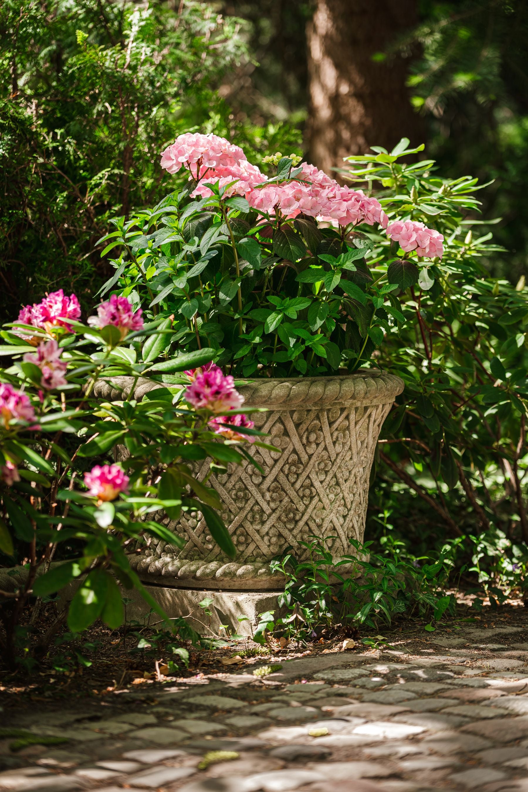 Cecylia Planter
