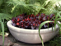 Planta Flower Bowl