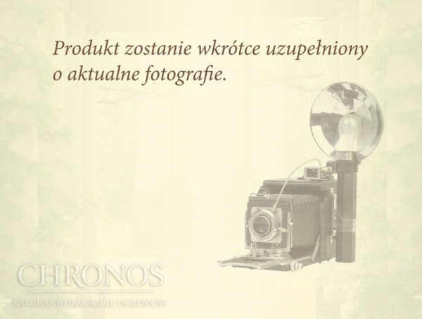 Nakrywa przęsła łukowa BC